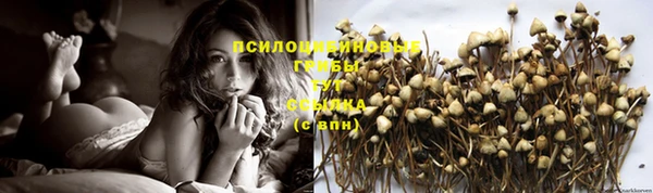 прущая мука Бикин