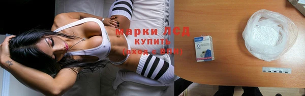 спиды Нефтекумск