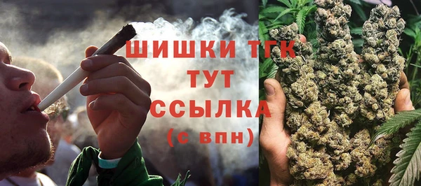 не бодяженный Новодвинск