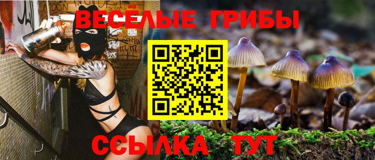 Галлюциногенные грибы Psilocybe  Псилоцибиновые грибы MAGIC MUSHROOMS  цены   Вход с VPN  Курчатов 