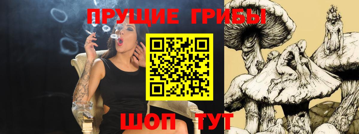 Псилоцибиновые грибы GOLDEN TEACHER Курчатов