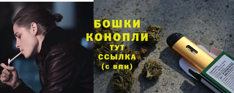 Бошки марихуана THC 21%  Курчатов 